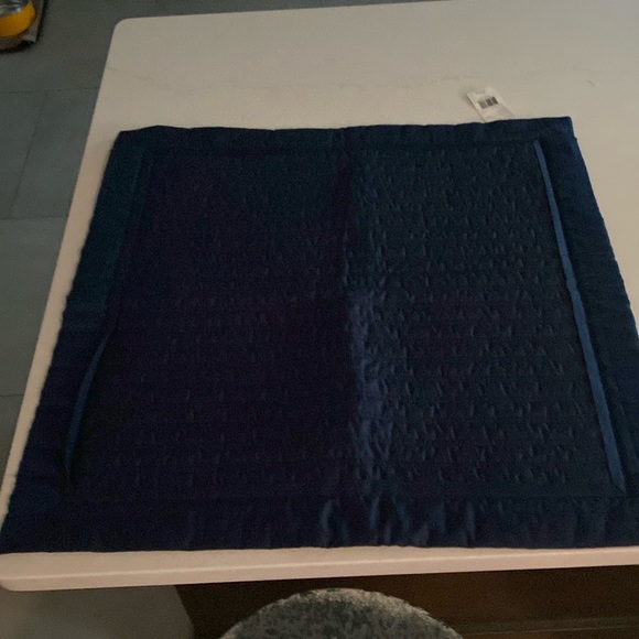 Ralph Lauren 24”x24” Euro Sham - Picture 1 of 4